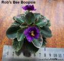 <b>Название: </b>'Rob's Bee Boopsie', <b>Добавил:<b> svetik4<br>Размеры: 470x446, 48.3 Кб